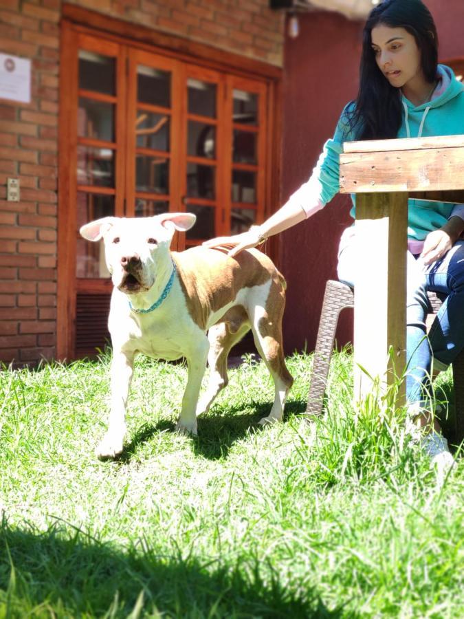 La Parada Del Tren Hostel Bogotá Eksteriør billede